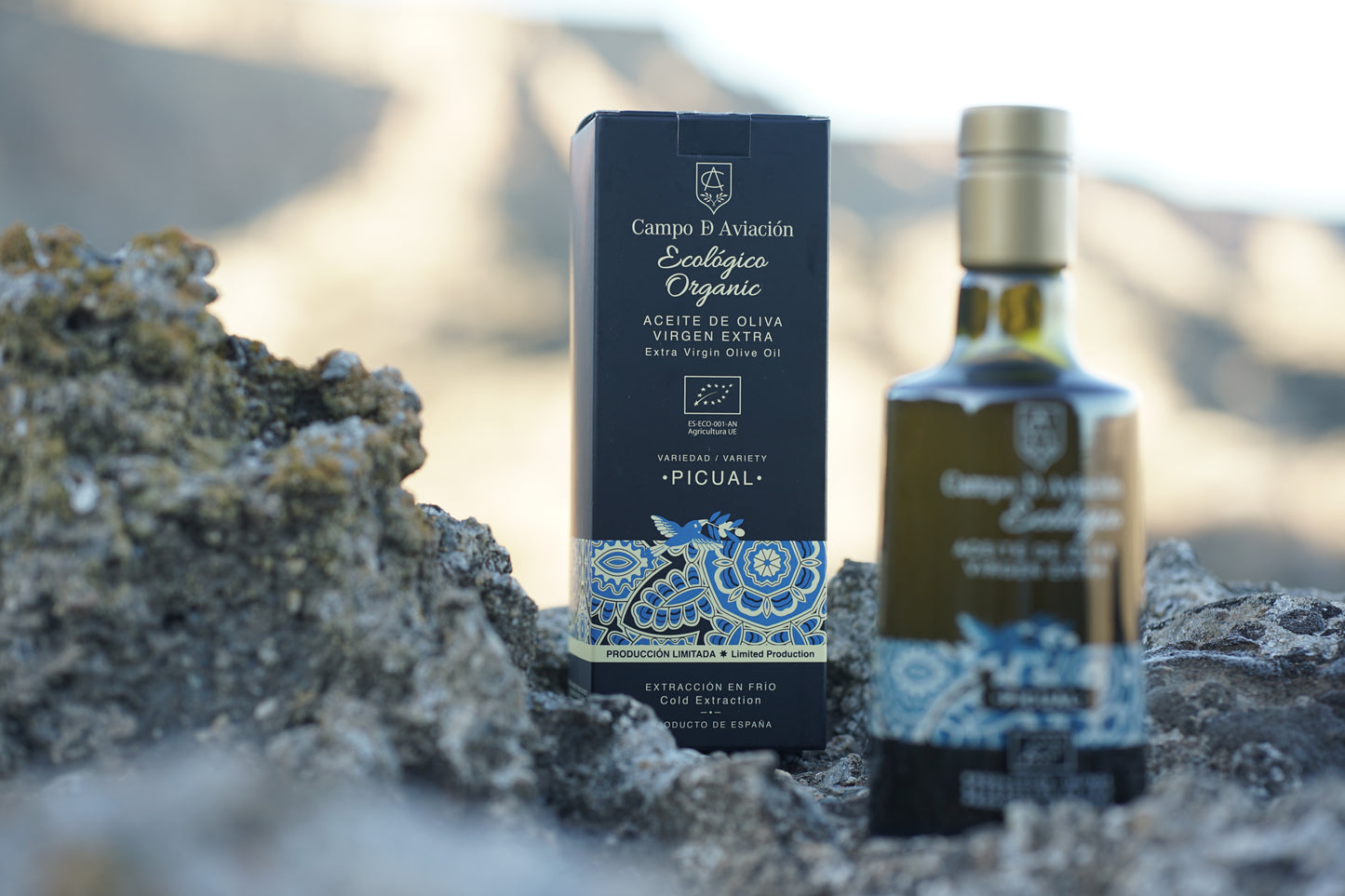 AOVE Campo de Aviación