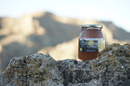 Miel pura de Abeja- 1Kg